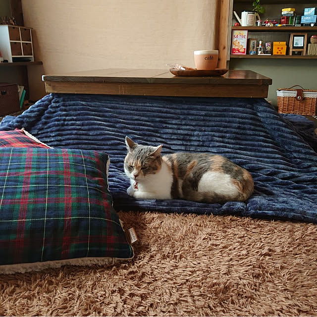 fukuさんの実例写真