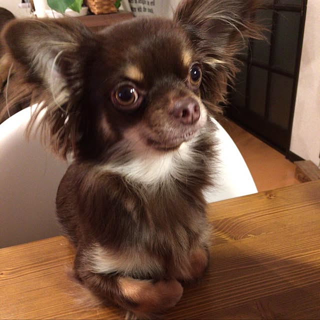 takaさんの実例写真
