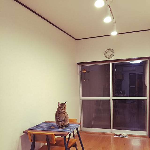 tat00giさんの実例写真