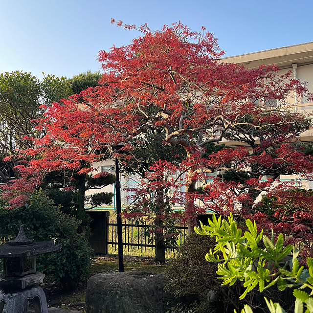 shin0719さんの実例写真