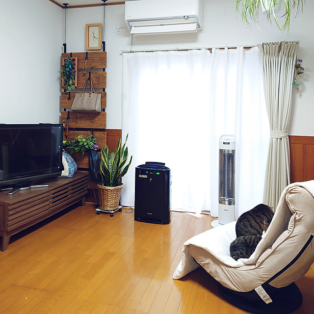 nachiさんの実例写真