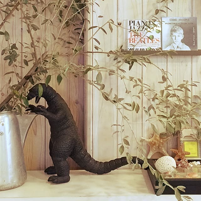 satochanさんの実例写真