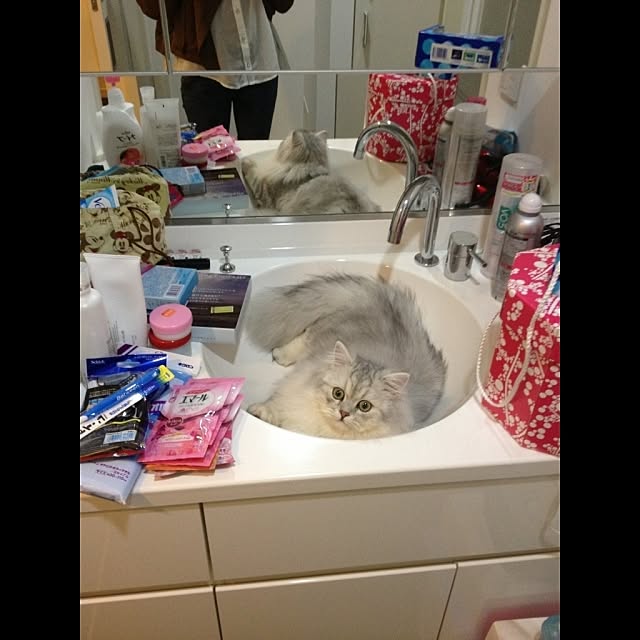 horurunさんの実例写真