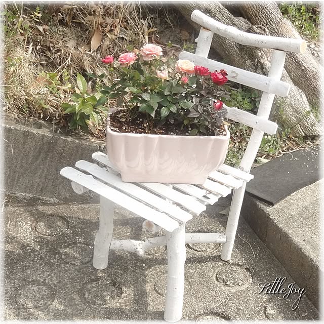 littlejoyさんの実例写真