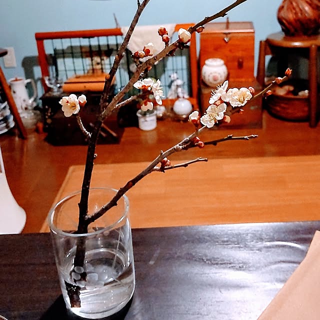 purucogi_yaさんの実例写真