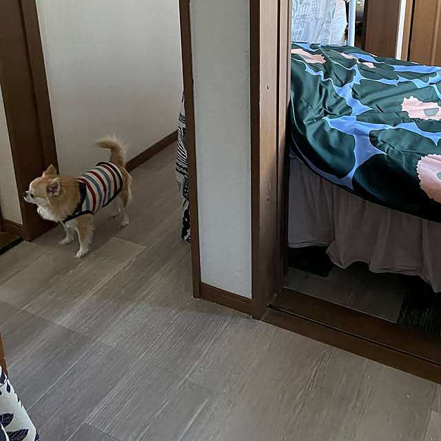 natsumiさんの部屋