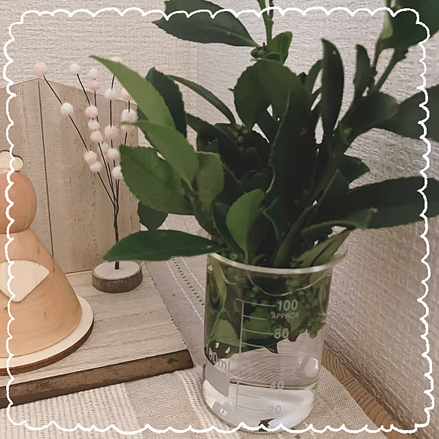 totoさんの部屋