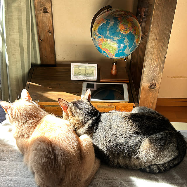 mikan161さんの実例写真