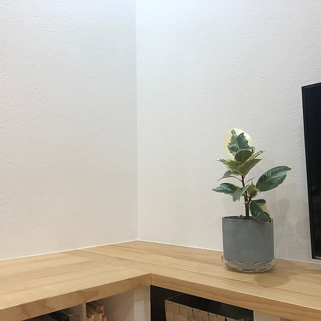 todonekomaiさんの実例写真