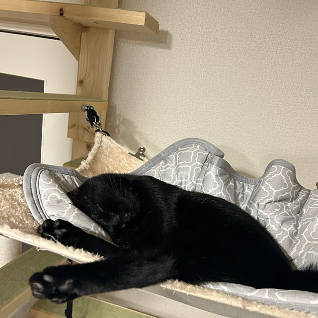 junさんの部屋
