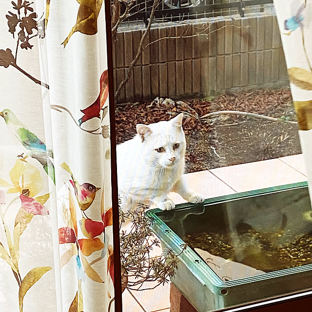 takebonさんの実例写真