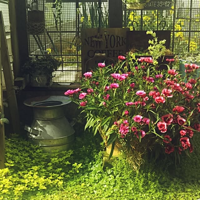 hi-yaさんの実例写真
