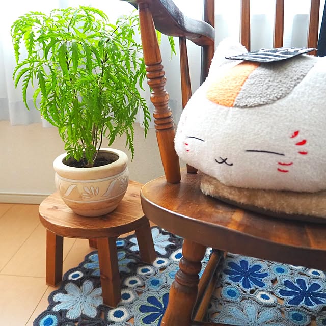 toukoさんの実例写真