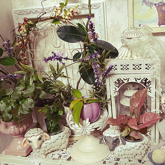 AYUKOさんの実例写真