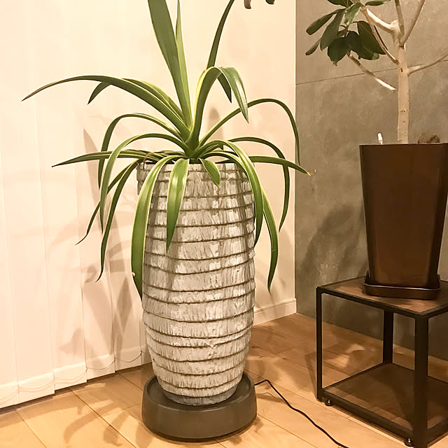 hm_myhomeさんの実例写真