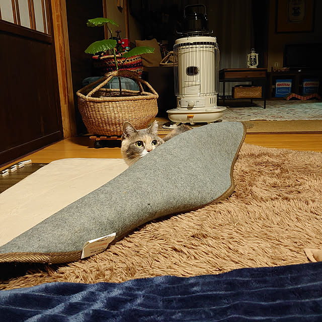 fukuさんの実例写真