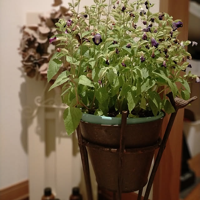 k-hmnsさんの実例写真