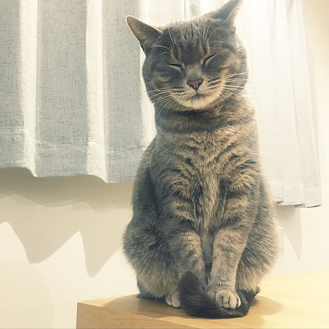 Roby1018さんの実例写真
