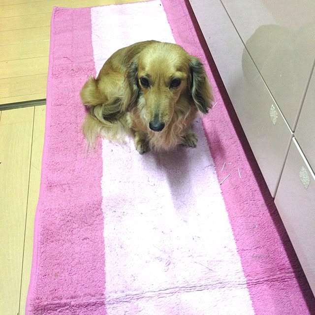 mami.さんの実例写真