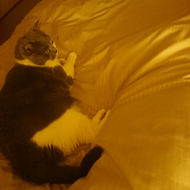 rhuさんの実例写真