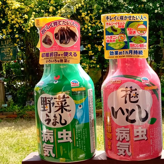soraさんの部屋