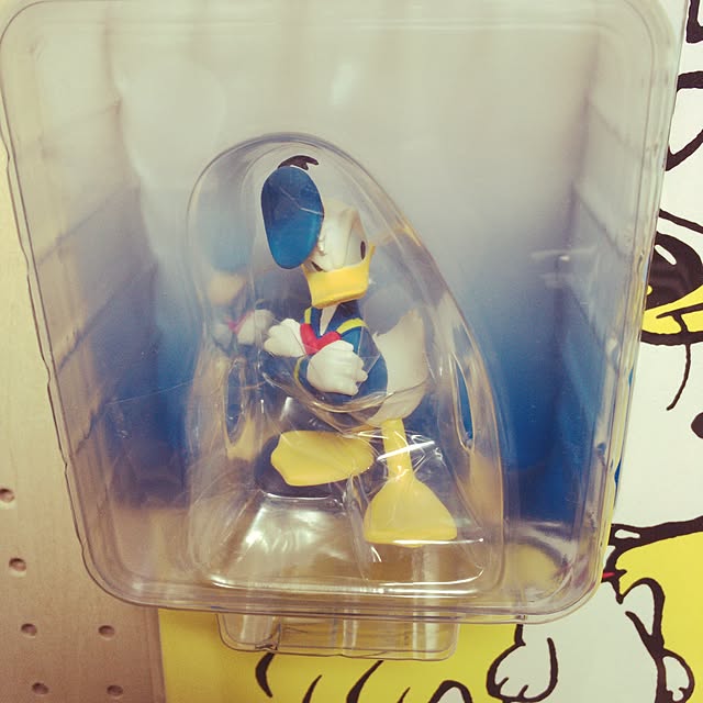 skpさんの実例写真