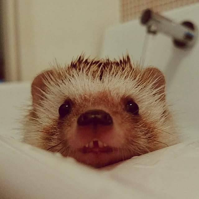 kuruさんの実例写真