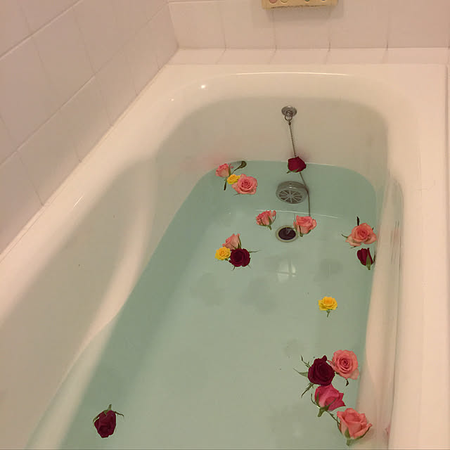 bonjyorisさんの実例写真