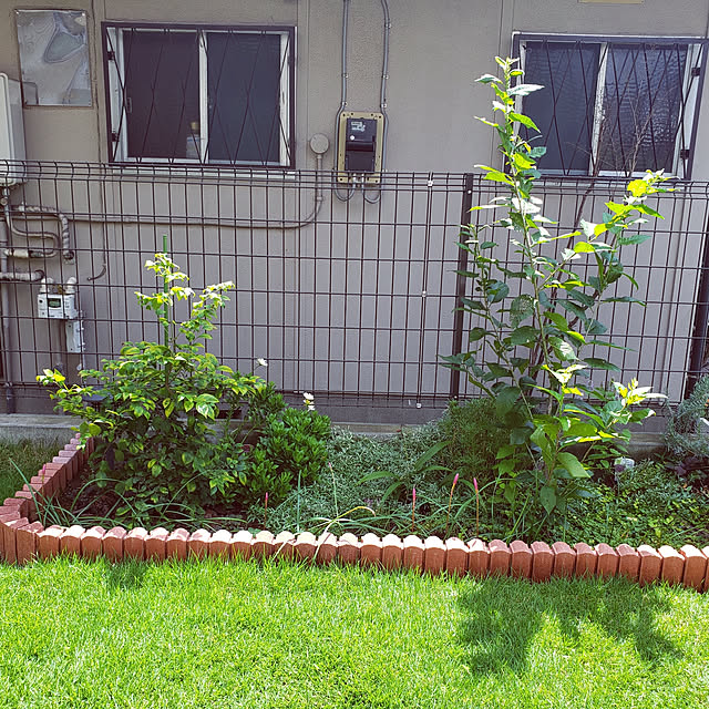 masaさんの実例写真