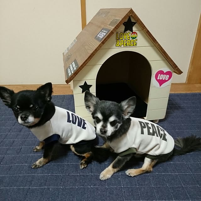 lovepeaceさんの実例写真