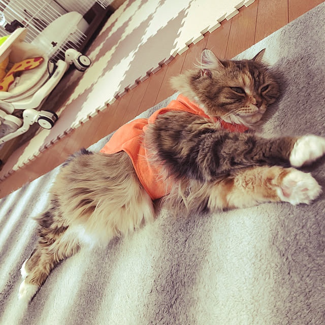 KURUMIさんの実例写真