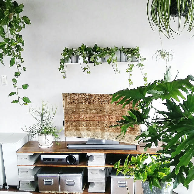 hira_muji_mihiさんの実例写真