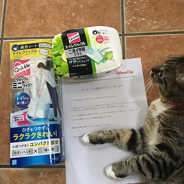 shigimiさんの実例写真