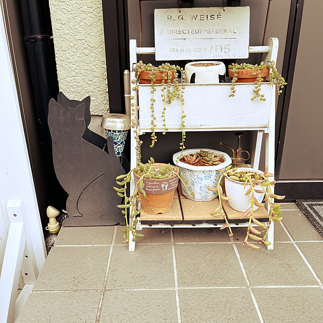 chatnoirさんの実例写真