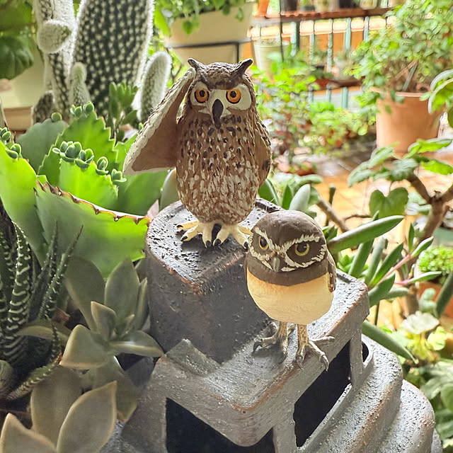 Aqettyさんの部屋