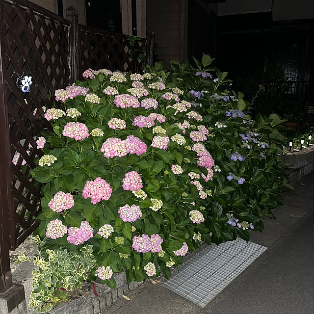 ritsukoさんの実例写真