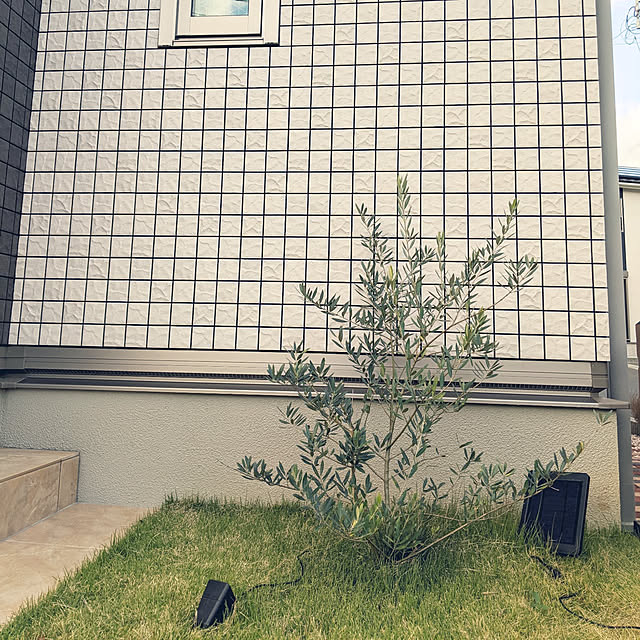 ya-ya0410さんの実例写真