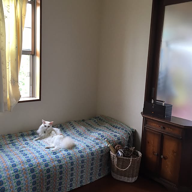 shigimiさんの実例写真
