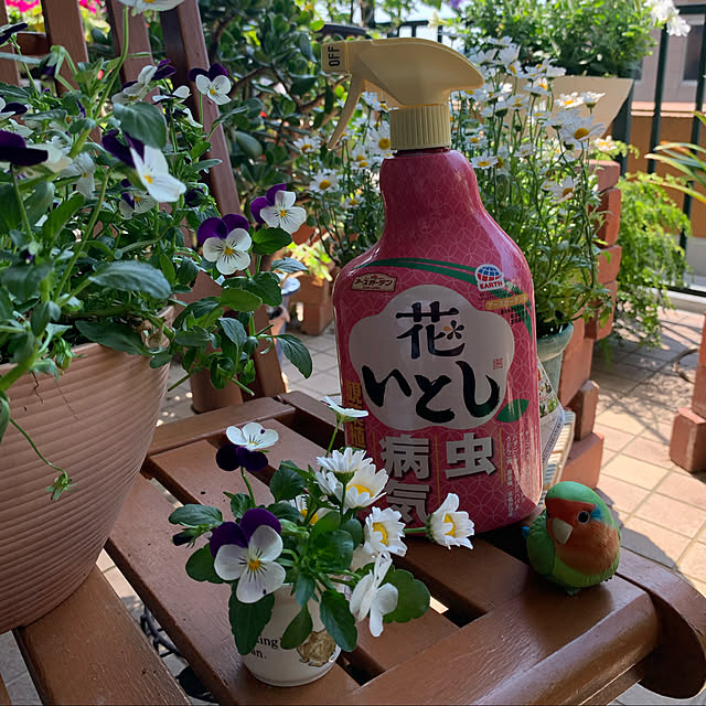 Aqettyさんの実例写真