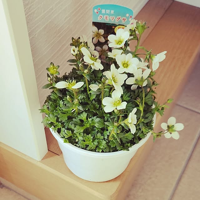 yumichanさんの部屋