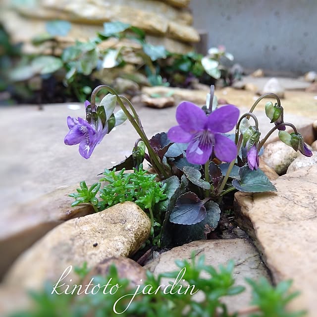 kintoto07さんの実例写真
