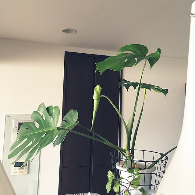 HKSさんの実例写真
