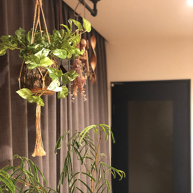 nude_restaurantさんの実例写真