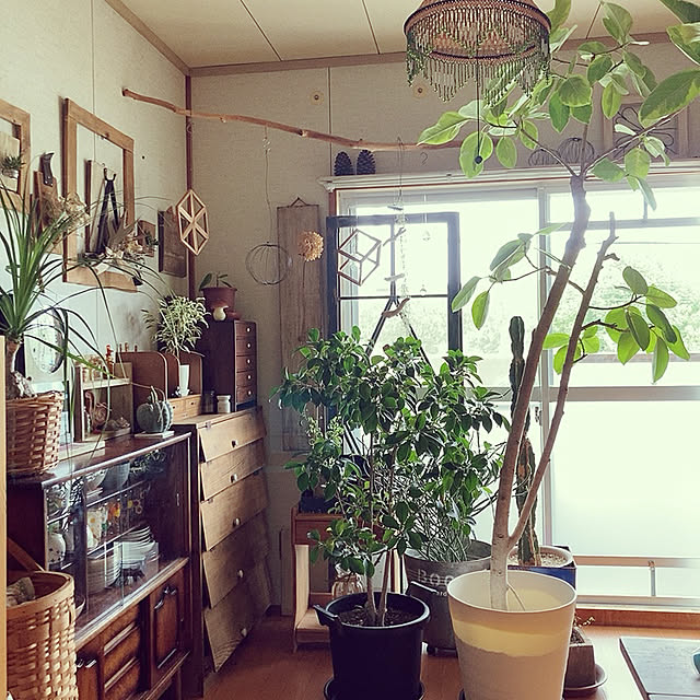 haruさんの実例写真