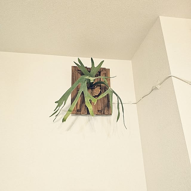 GaudisHouseさんの部屋
