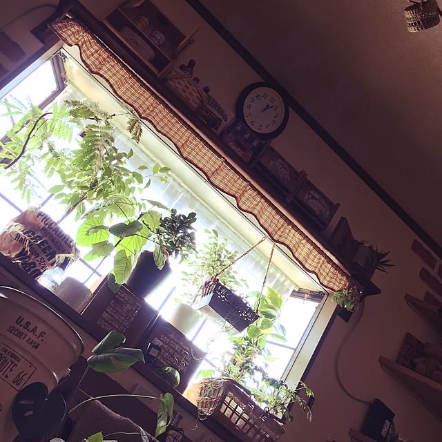 korokoroさんの実例写真