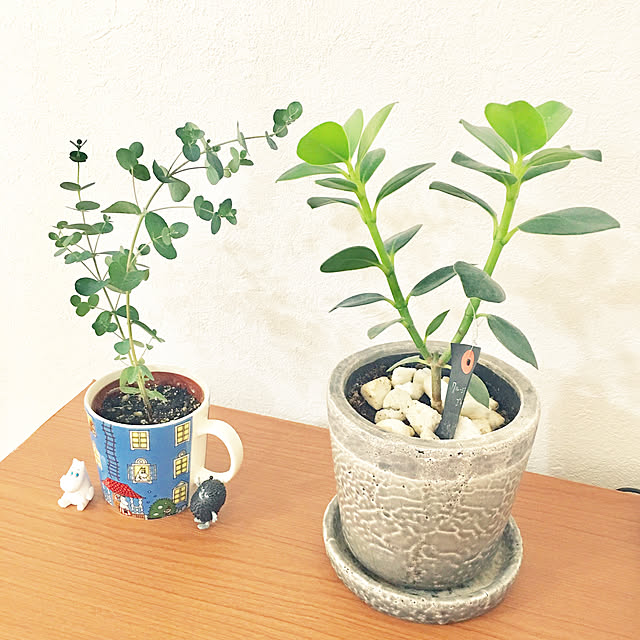 haritakaさんの実例写真