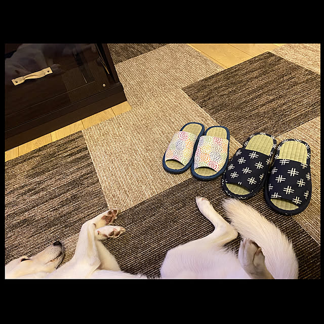 tanboさんの実例写真