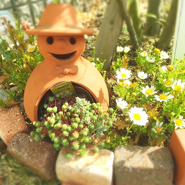 yokkochanさんの実例写真