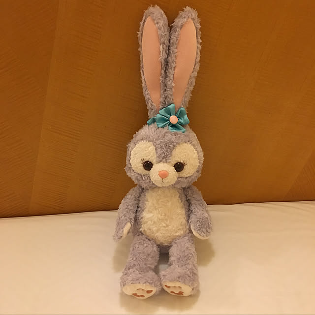 satonoriさんの実例写真